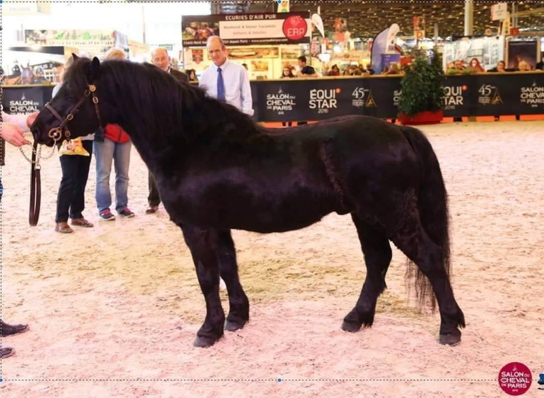 SHILSTONE ROCKS THUNDERHEAD 2 - Dartmoor 2006 ,  SR ATLANTIC GALE