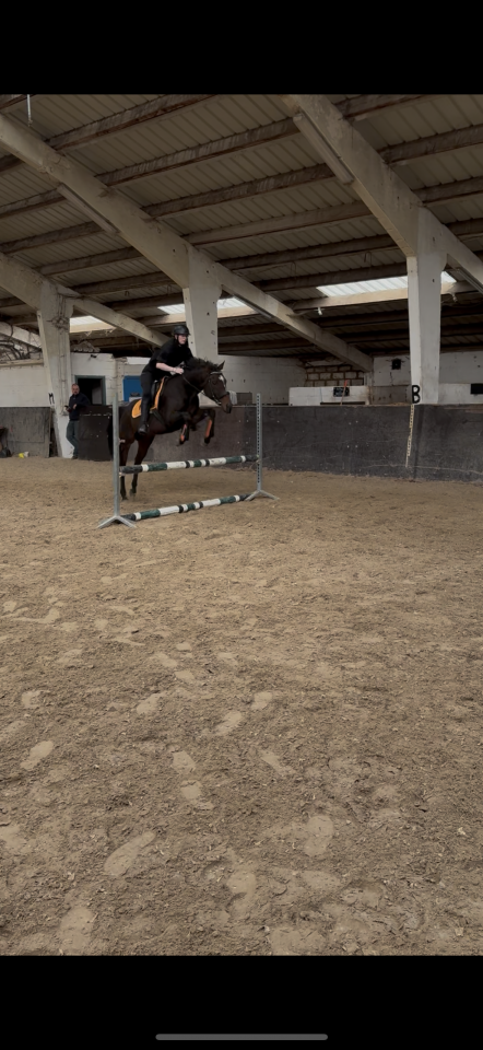 Cavalla Purosangue Inglese In vendita 2020 Baio