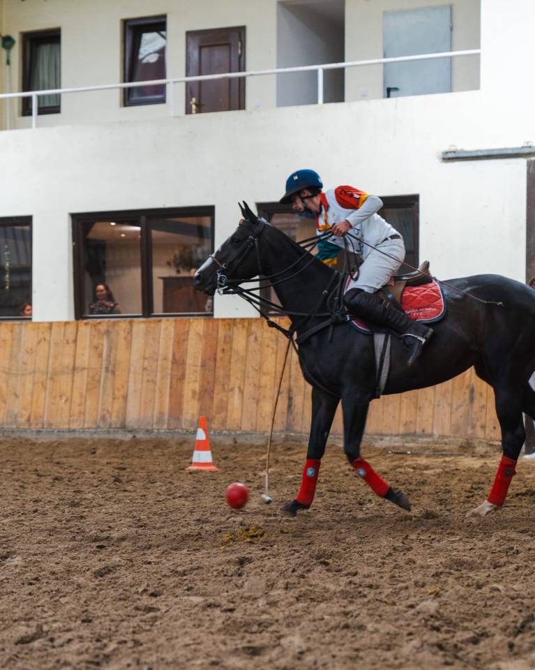 Puledra Purosangue In vendita 2016 Baio scuro