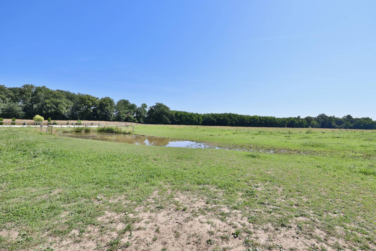 Bella dimora equestre In vendita Ain