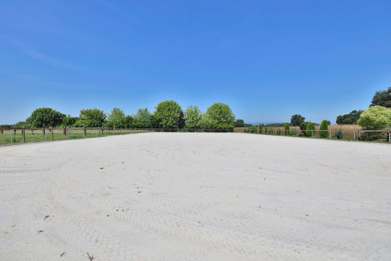 Bella dimora equestre In vendita Ain