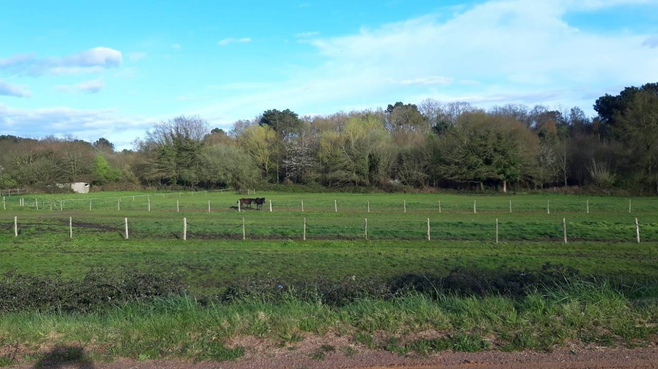Scuderia di corsa In vendita Sarthe