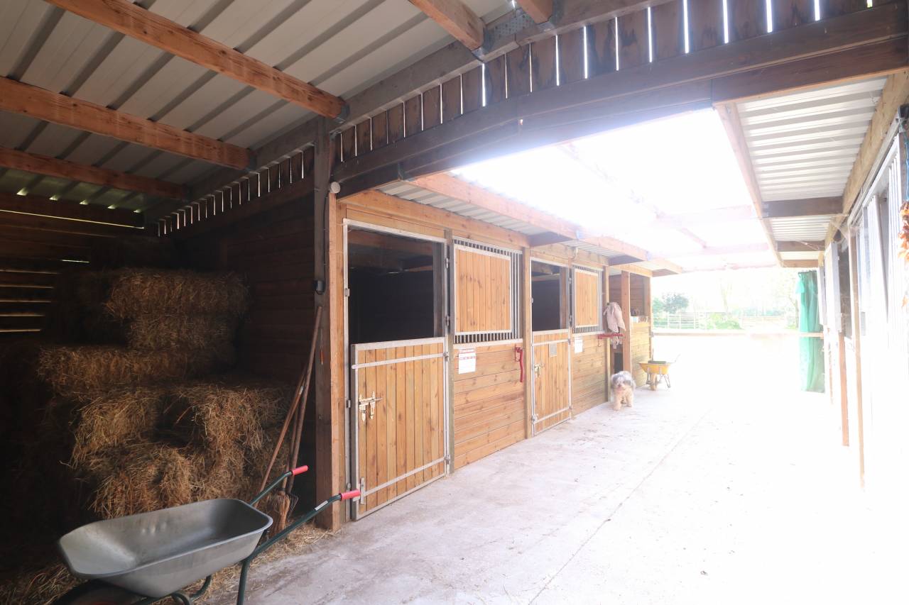 Bella dimora equestre In vendita Manche