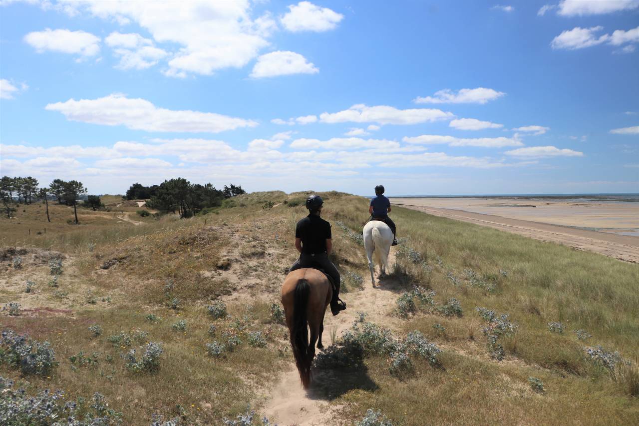 Bella dimora equestre In vendita Manche