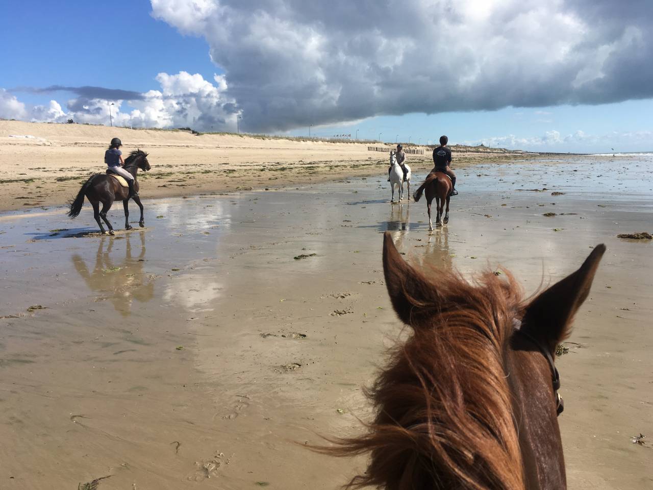Bella dimora equestre In vendita Manche