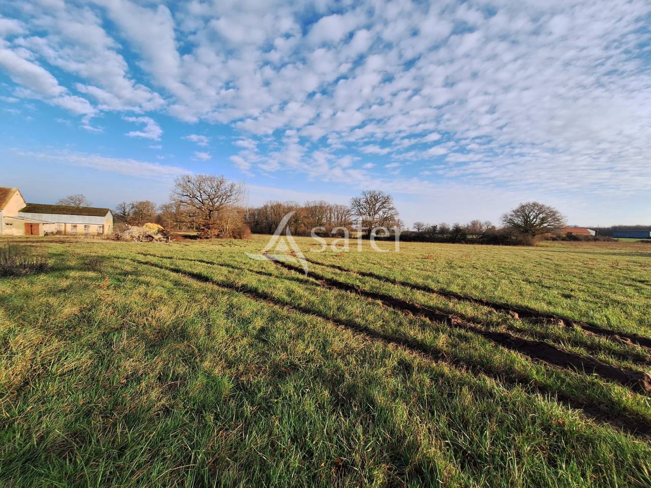 Azienda agricola In vendita Indre