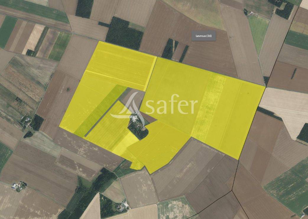 Azienda agricola In vendita Indre