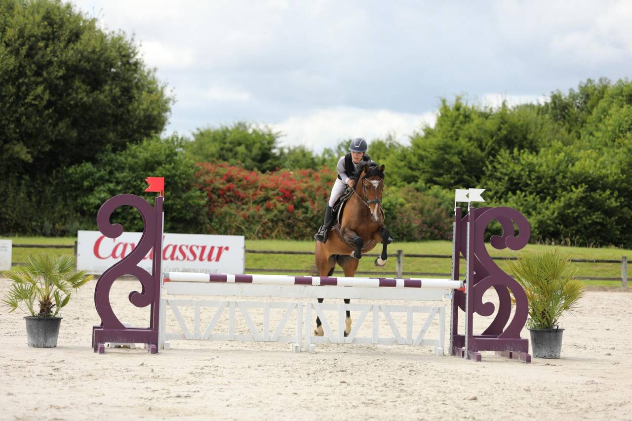 Cavalla Purosangue In vendita 2020 Baio