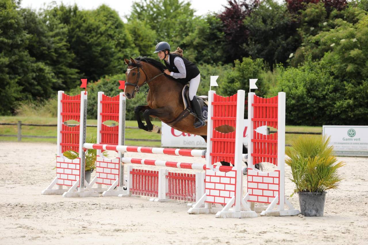 Cavalla Purosangue In vendita 2020 Baio