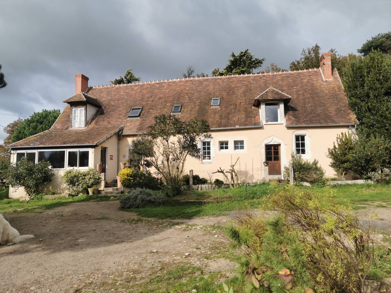 Azienda equestre In vendita Cher