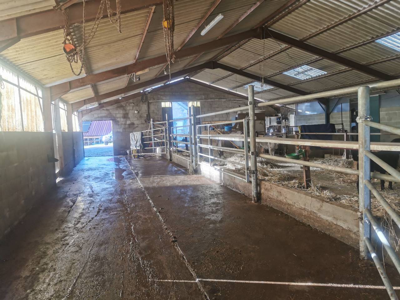 Azienda equestre In vendita Cher