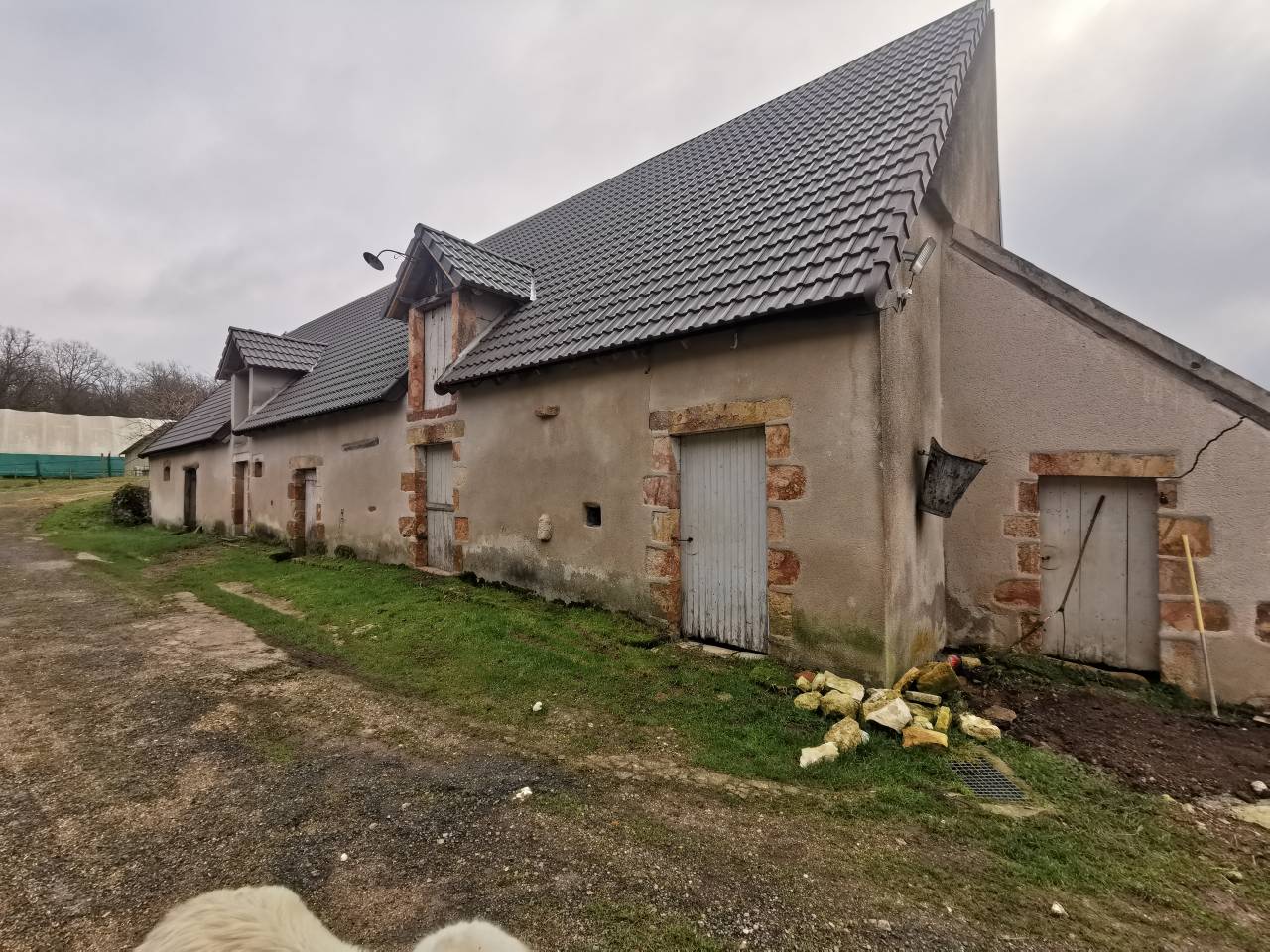 Azienda equestre In vendita Cher