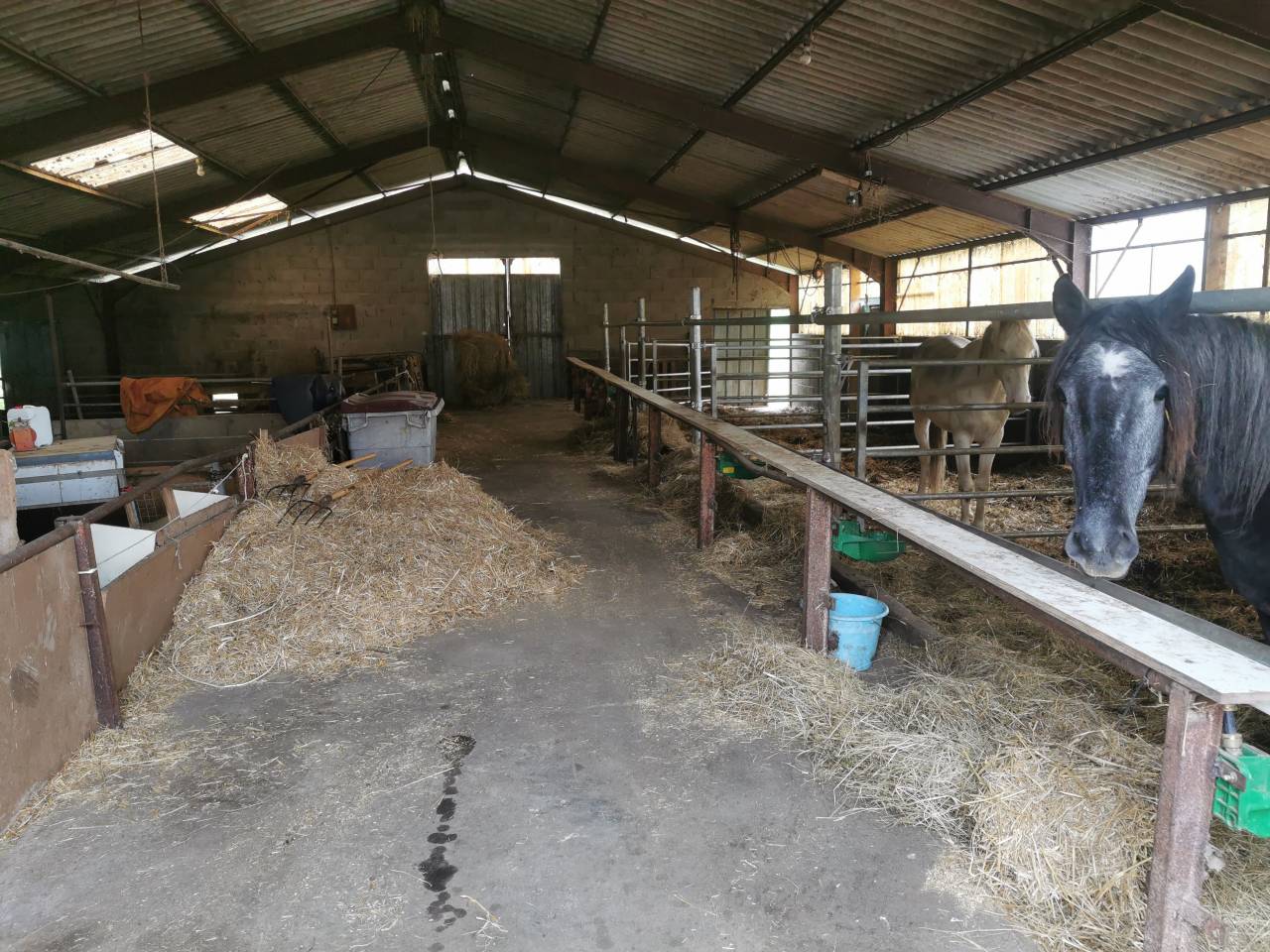 Azienda equestre In vendita Cher