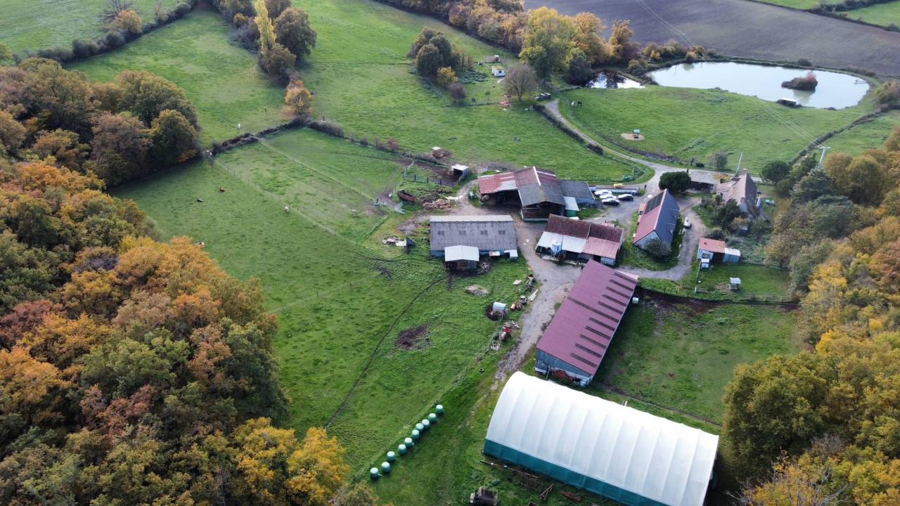Azienda equestre In vendita Cher