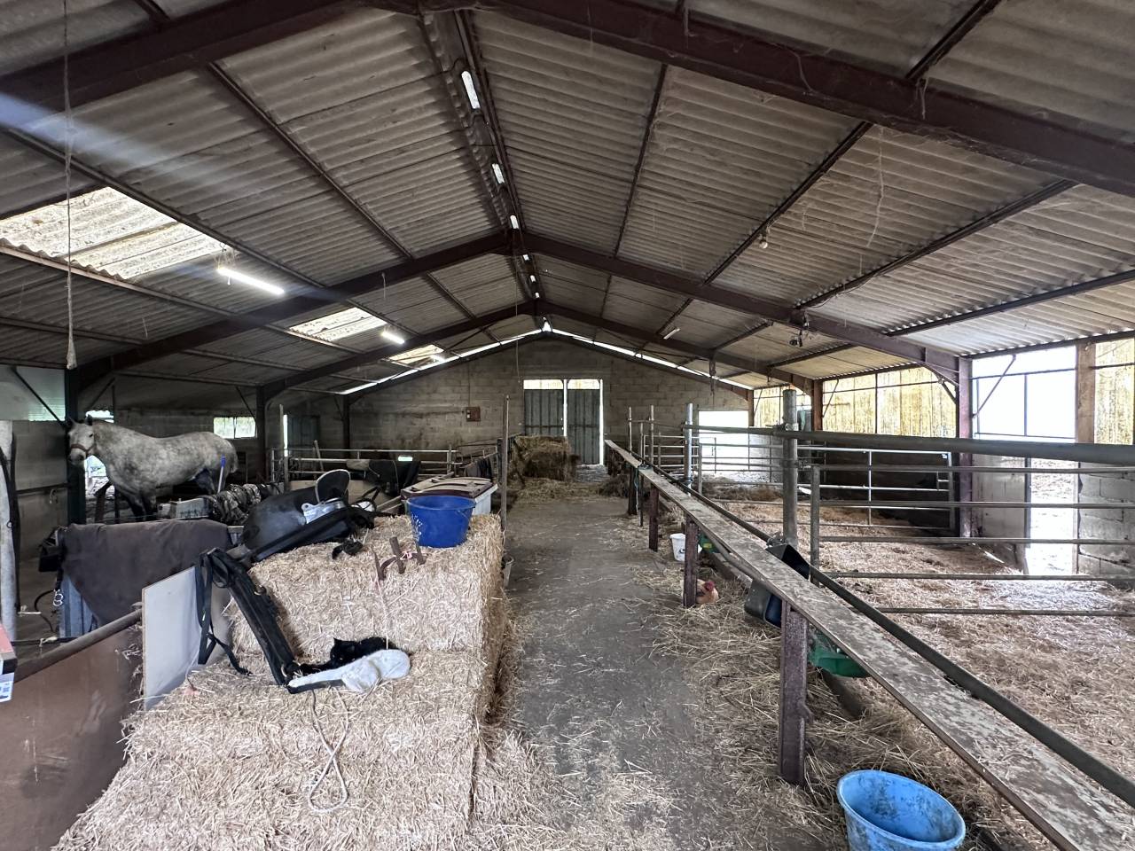 Azienda equestre In vendita Cher