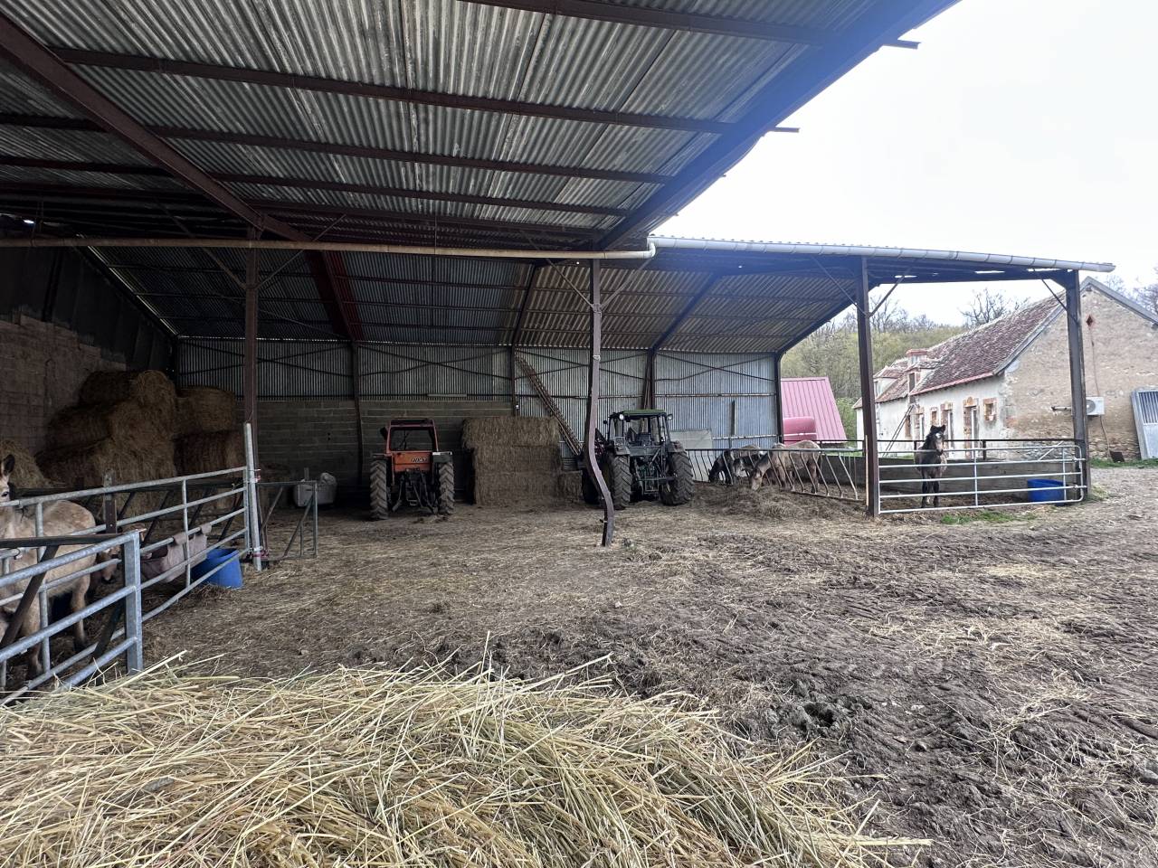 Azienda equestre In vendita Cher
