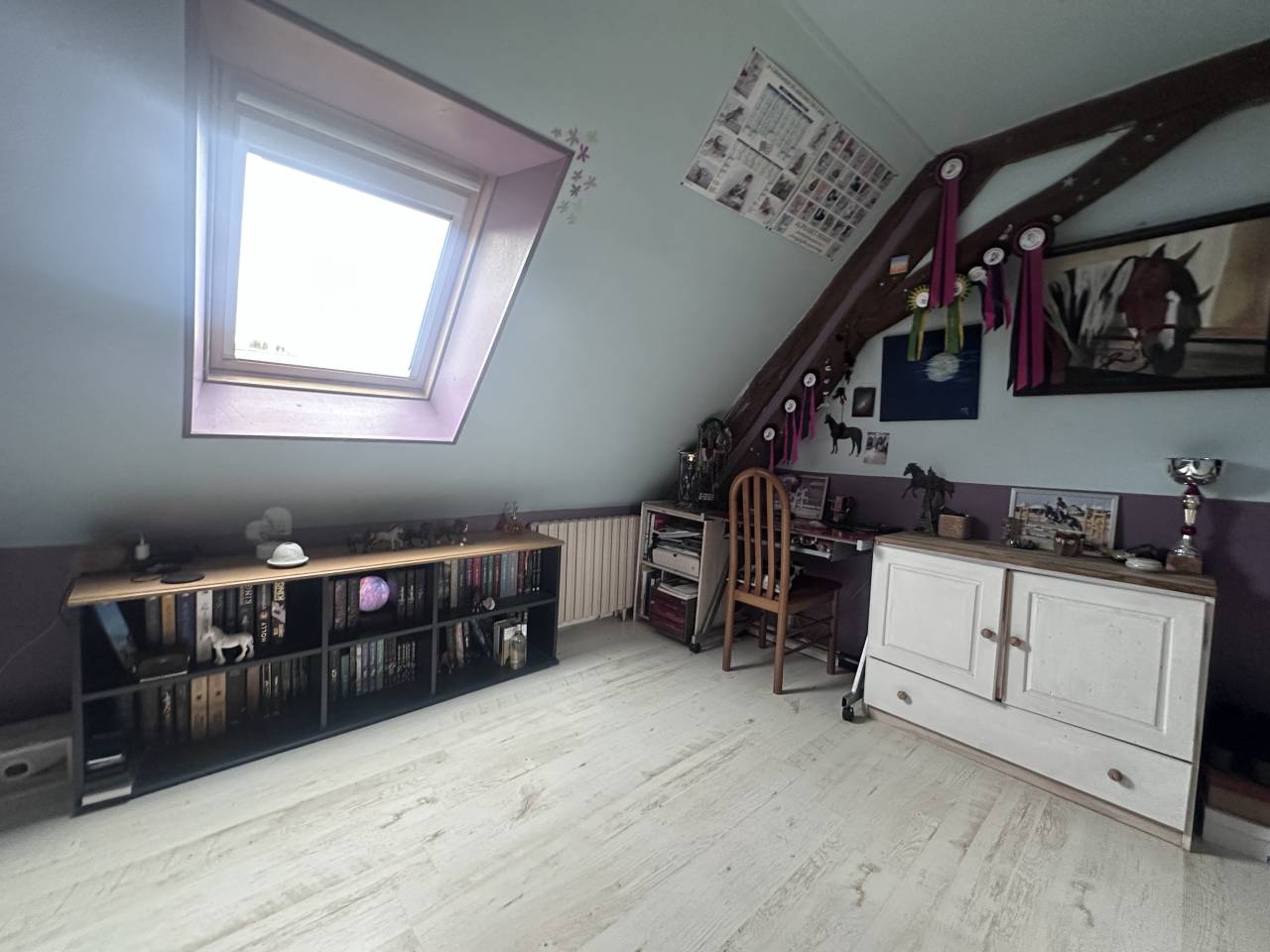 Azienda equestre In vendita Cher