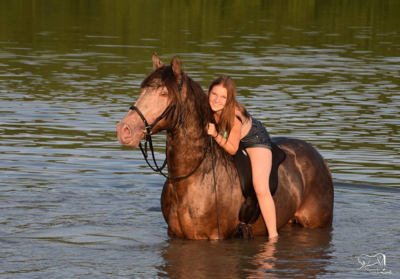 Stallone Quarter Horse In vendita 2016 Champagne