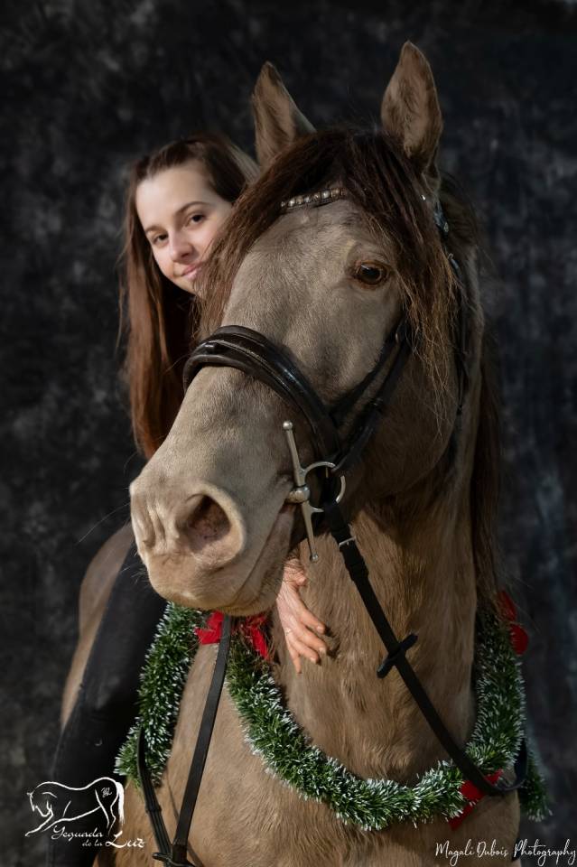 Stallone Quarter Horse In vendita 2016 Champagne