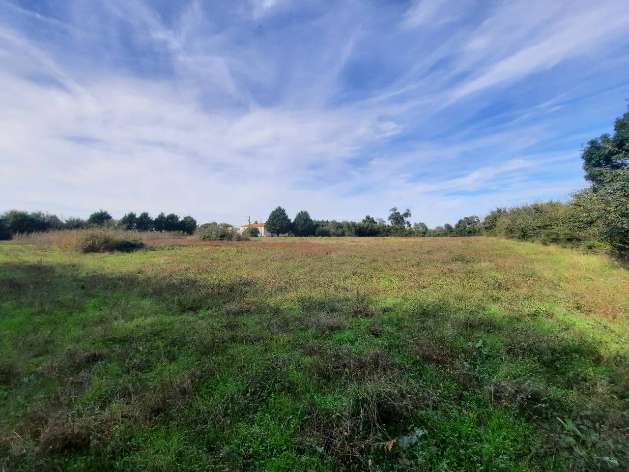 Bella dimora equestre In vendita Charente-Maritime