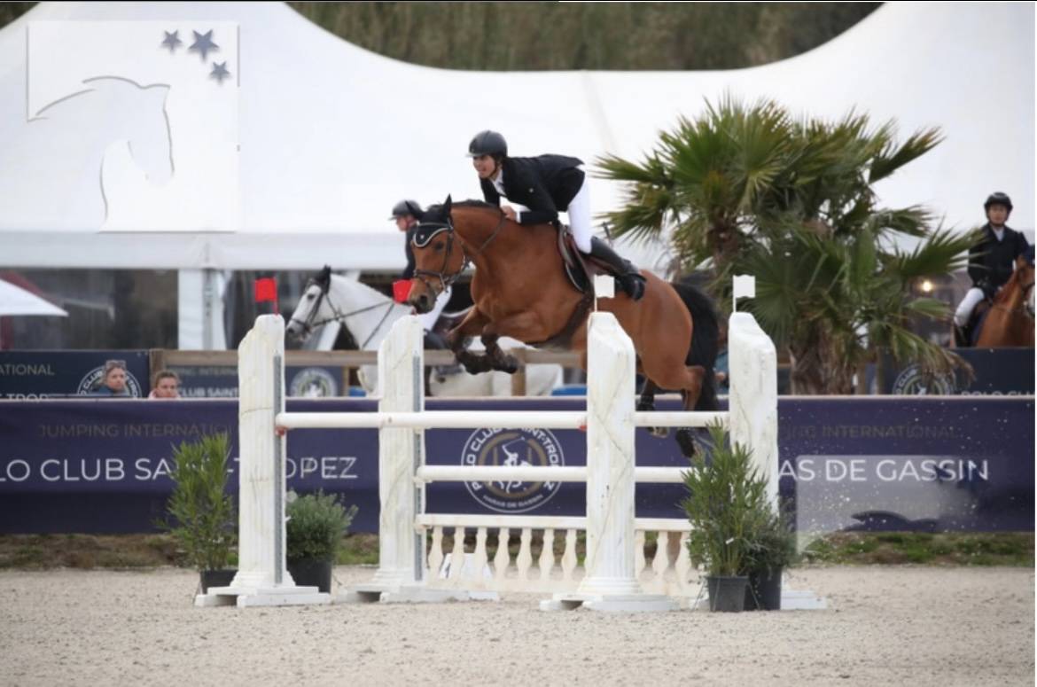 Cavalla Sella Francese In vendita 2012 Baio ,  EPSOM GESMERAY