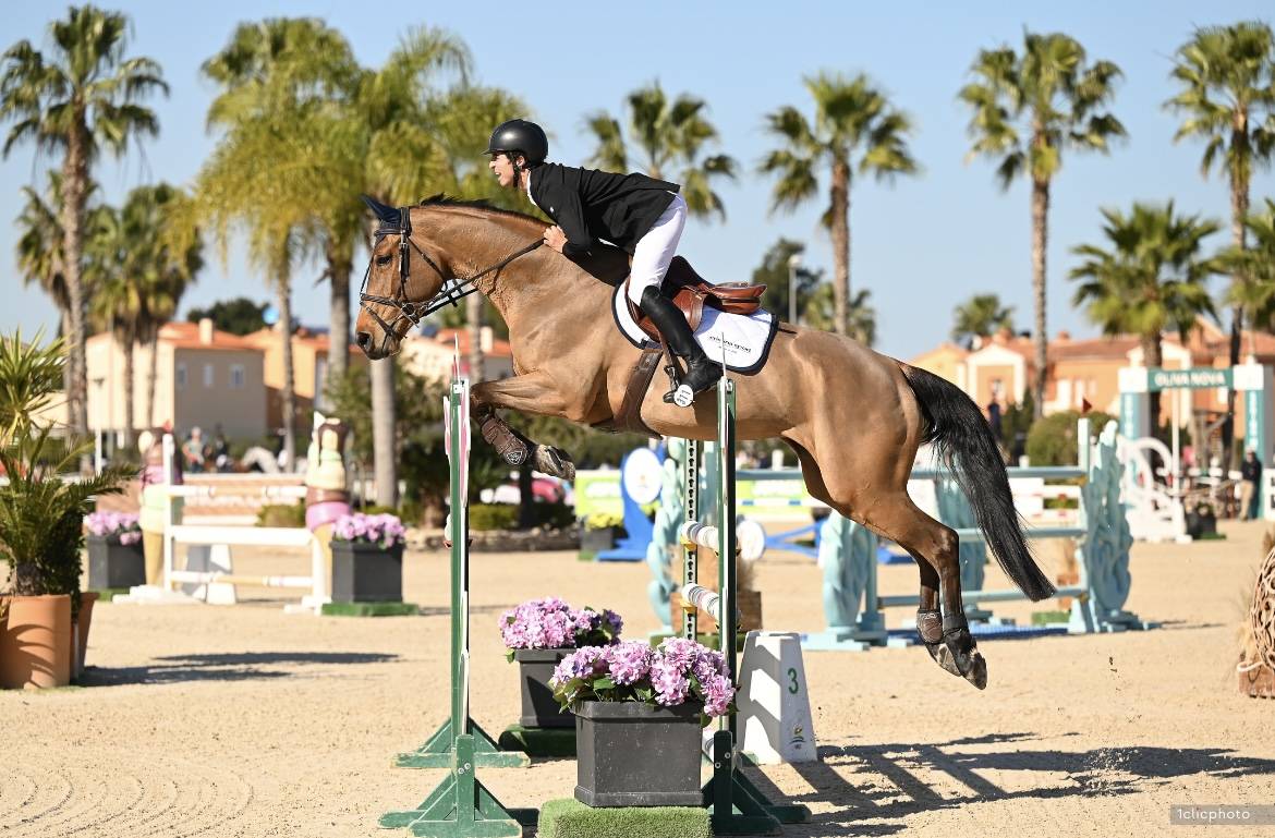 Cavalla Sella Francese In vendita 2012 Baio ,  EPSOM GESMERAY