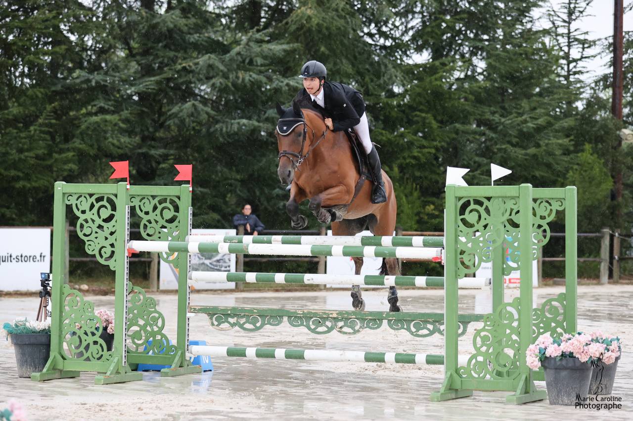 Cavalla Sella Francese In vendita 2012 Baio ,  EPSOM GESMERAY