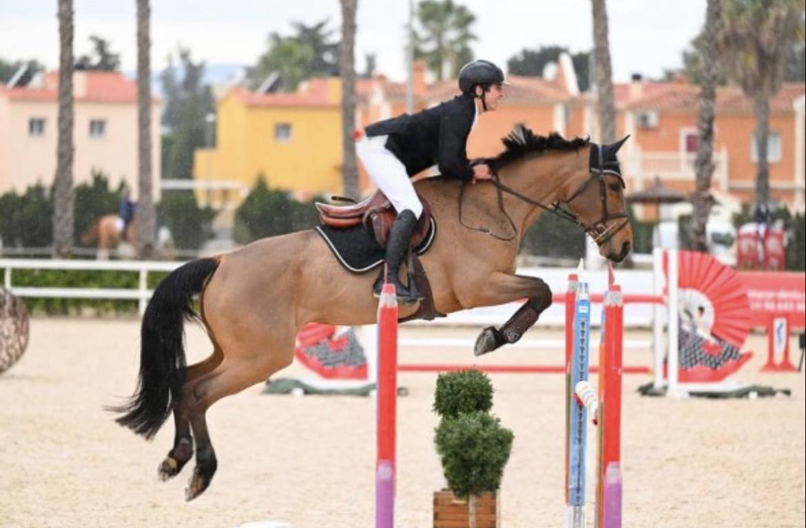 Cavalla Sella Francese In vendita 2012 Baio ,  EPSOM GESMERAY