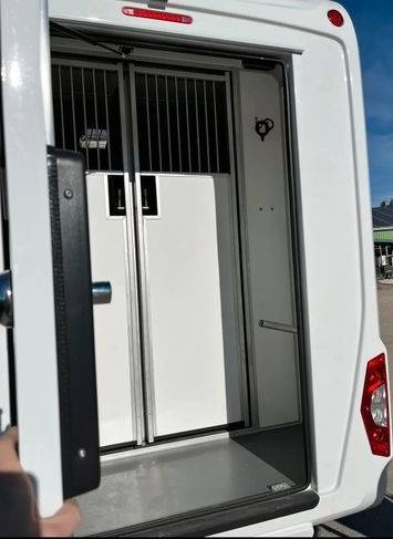 Van per Cavalli STX STX double cabine 2022 Occasione