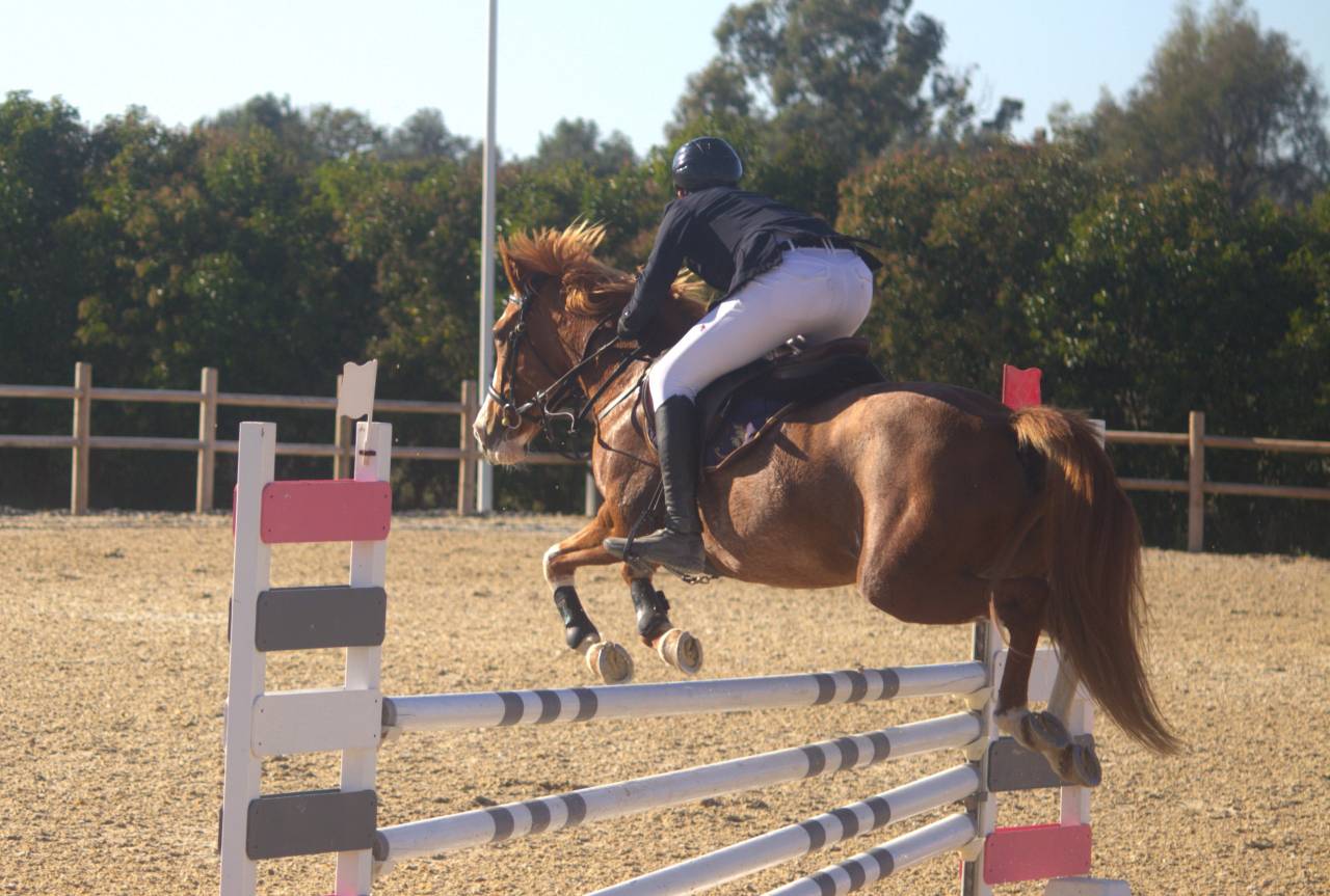 Buena - Pony in vendita 