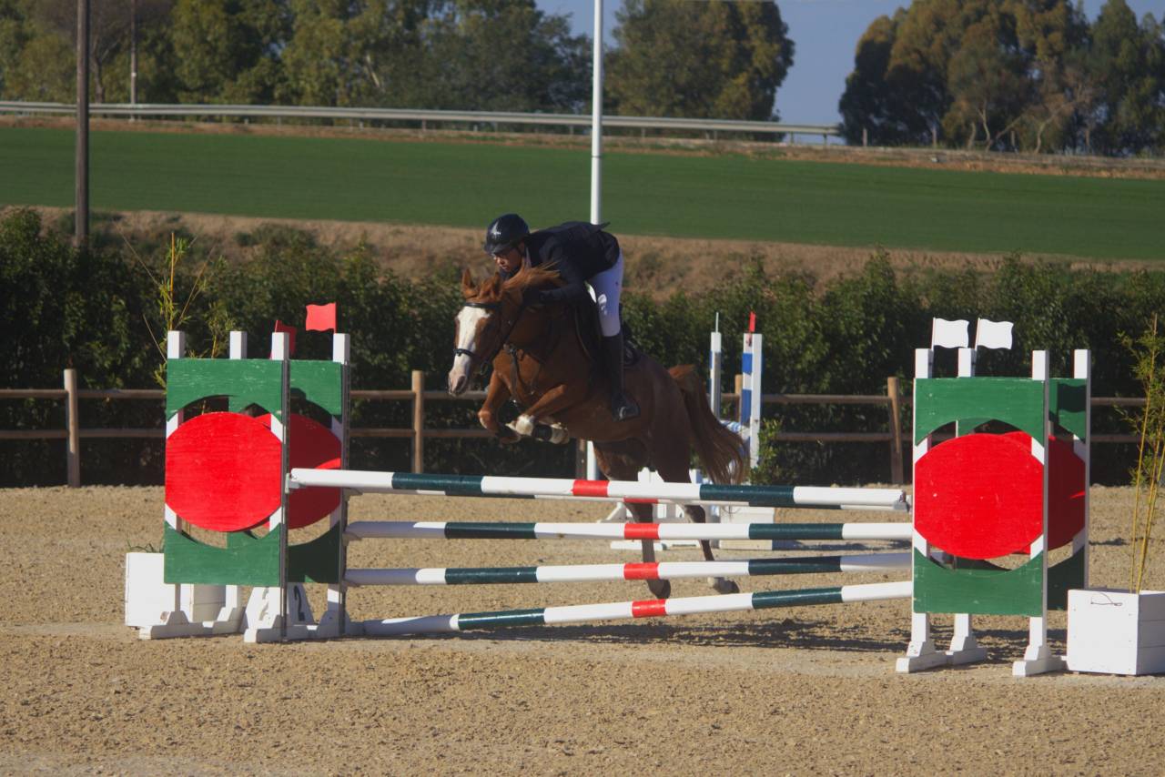 Buena - Pony in vendita 