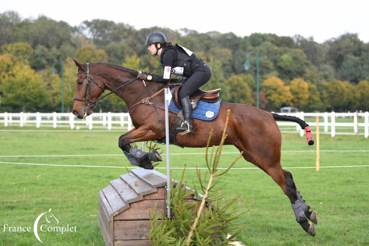 Castrone Wielkopolski  In vendita 2014 Baio ,  KLASYK