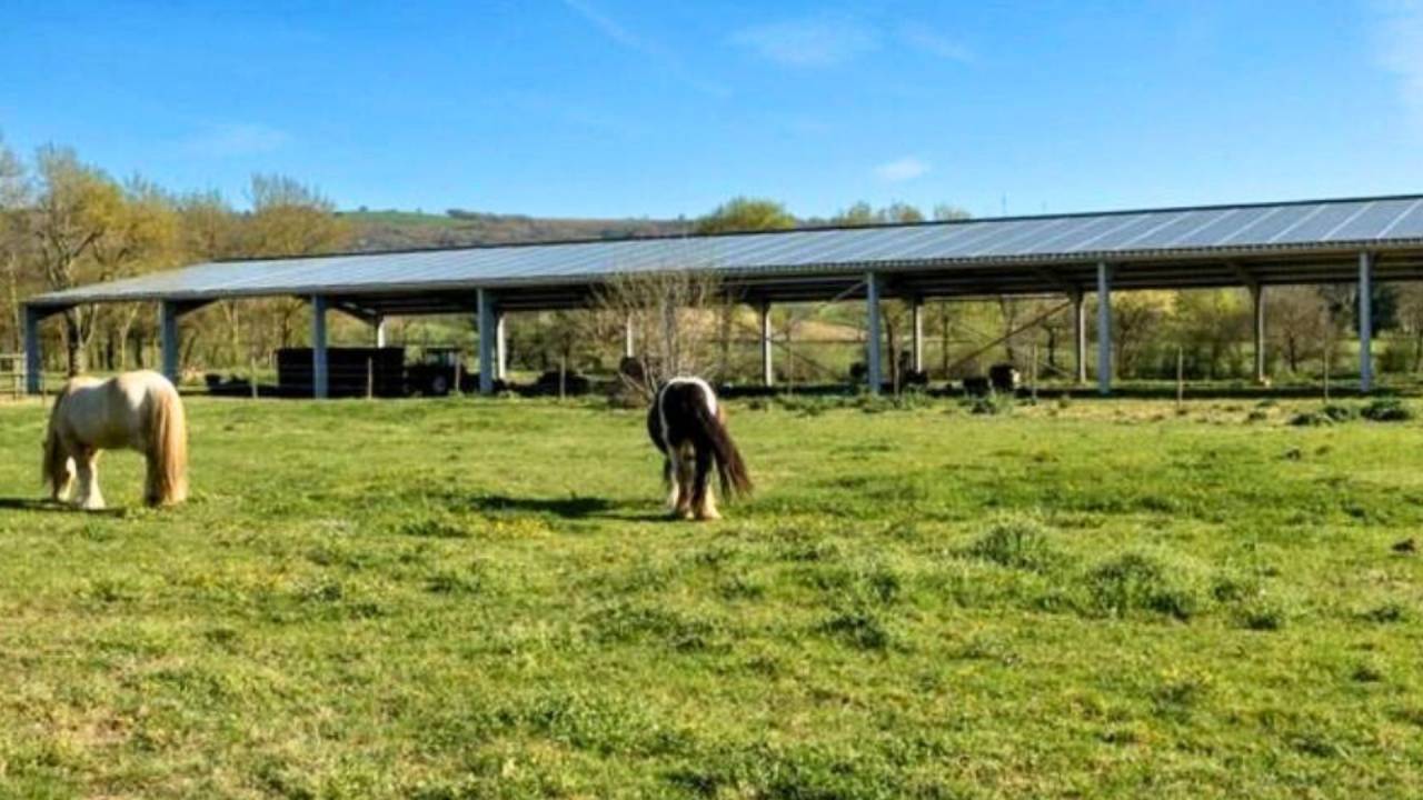 Bella dimora equestre In vendita Haute-Garonne
