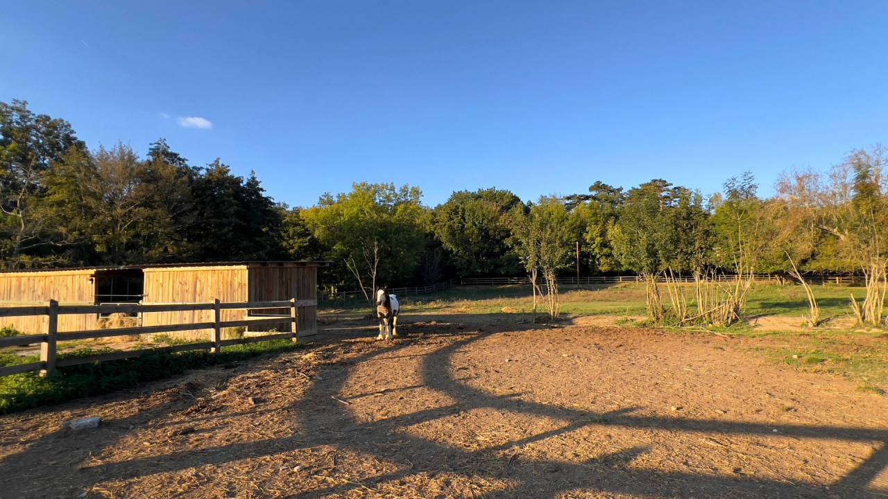 Bella dimora equestre In vendita Haute-Garonne