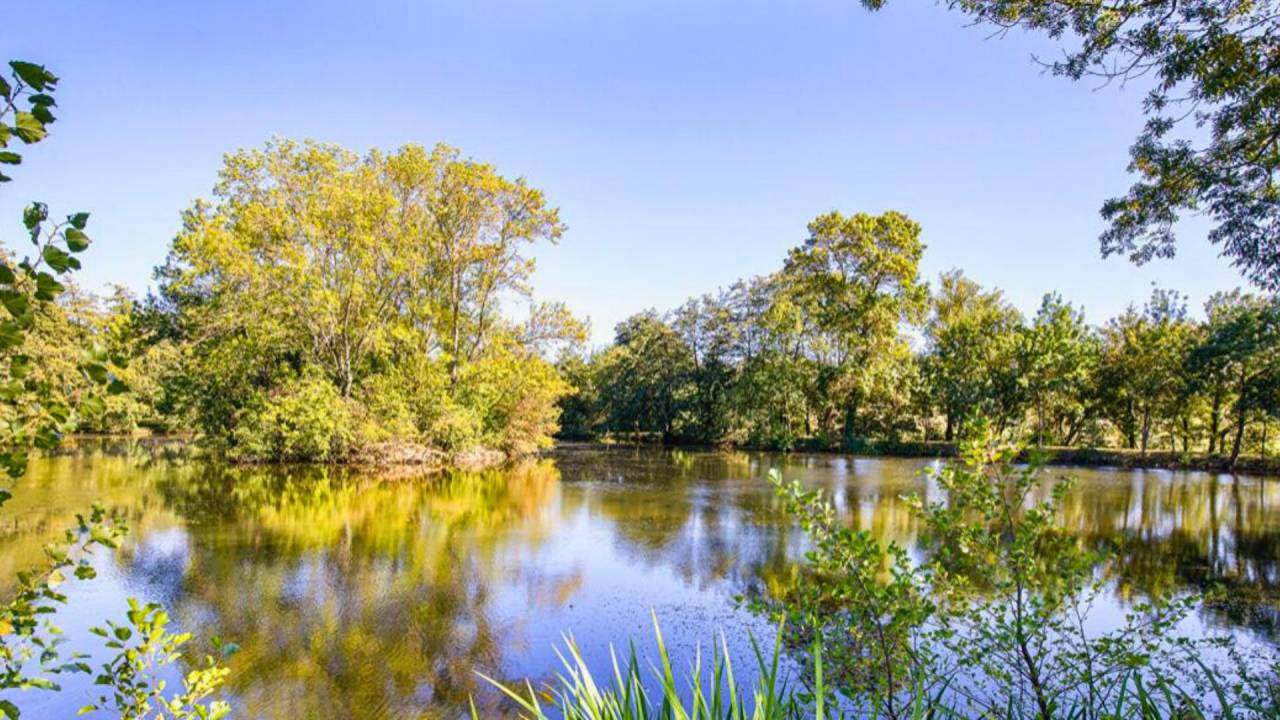 Bella dimora equestre In vendita Haute-Garonne