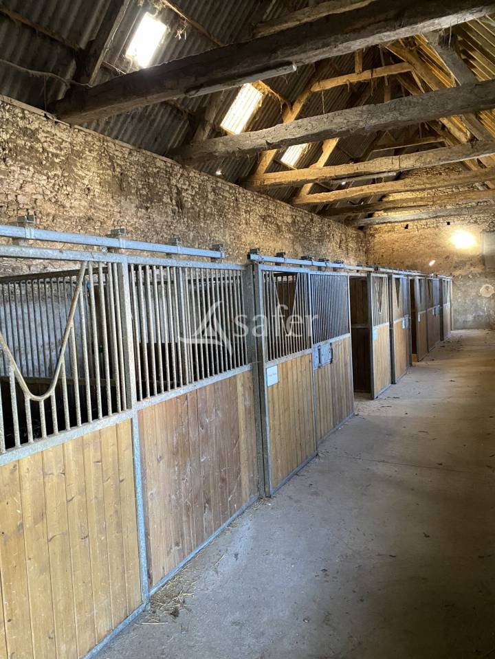 Proprietà equestre In vendita Orne