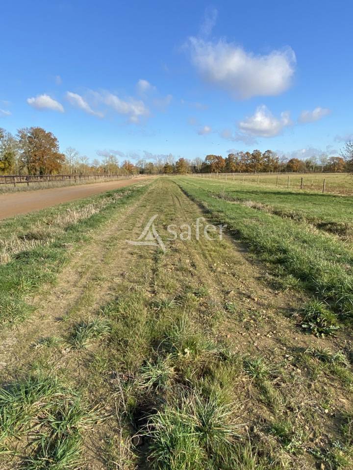 Propriet&agrave; equestre In vendita Orne