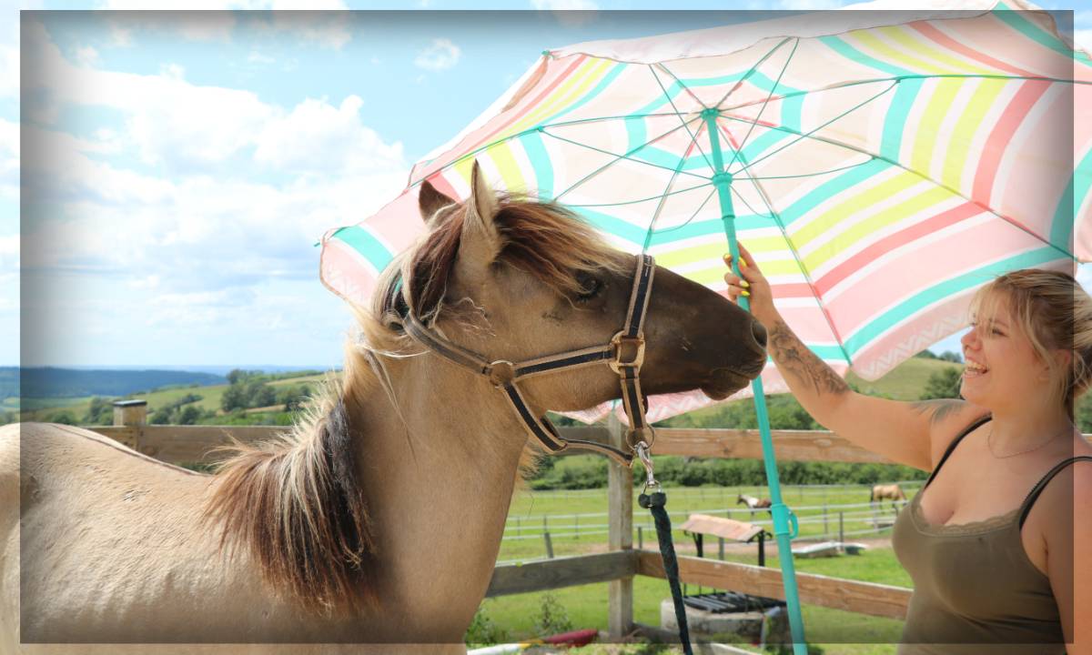 Castrone Origine Non Constatata In vendita 2023 Grullo