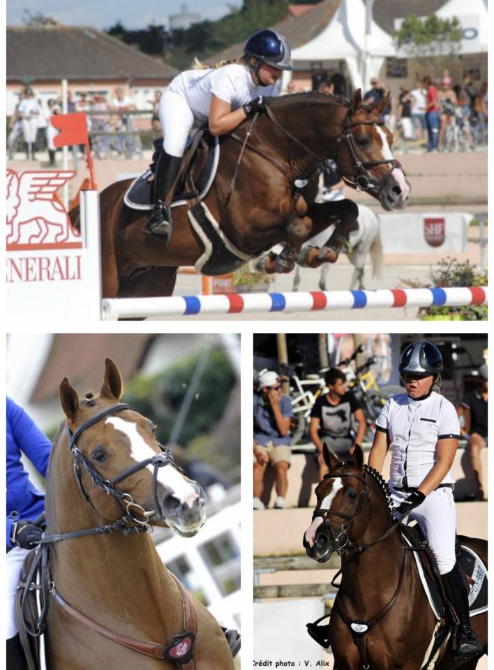 Puledra Origine non conosciuta  In vendita 2025 Baio ,  ETASUNI des COLLIERES