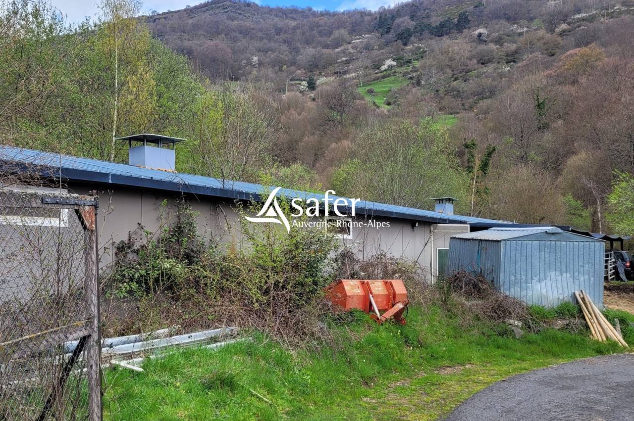 Azienda agricola In vendita Cantal