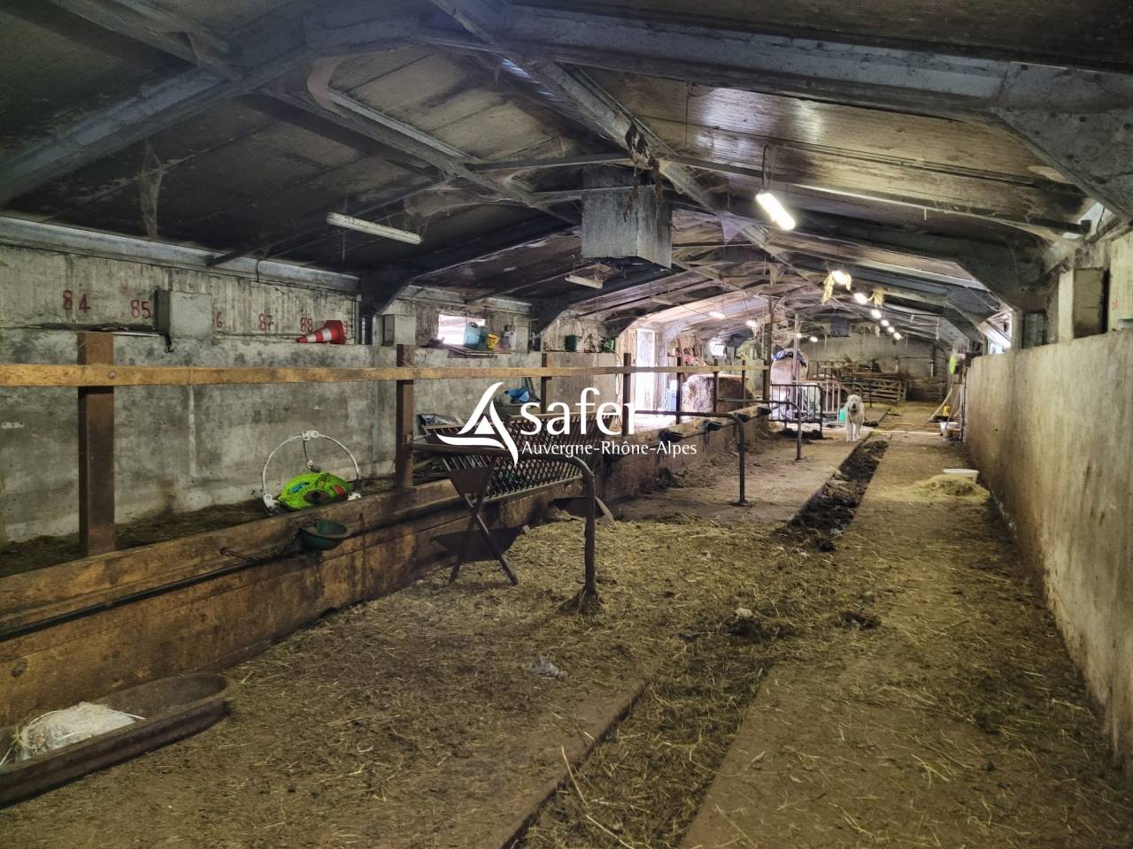 Azienda agricola In vendita Cantal