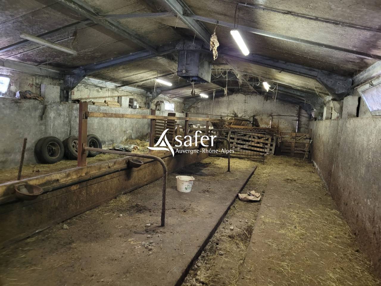 Azienda agricola In vendita Cantal