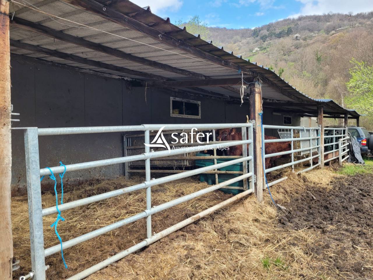 Azienda agricola In vendita Cantal