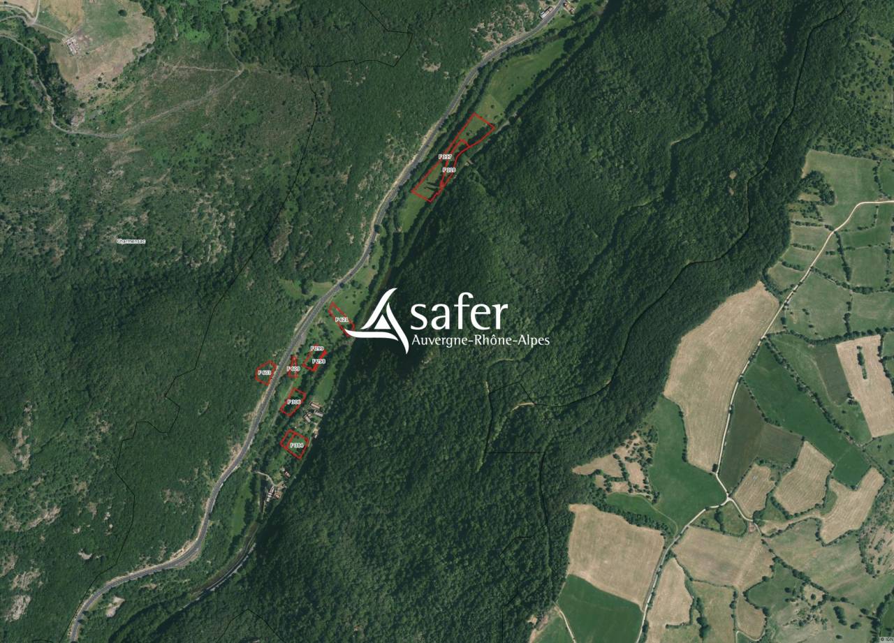 Azienda agricola In vendita Cantal