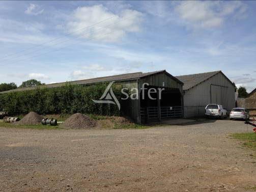 Azienda agricola In vendita Orne