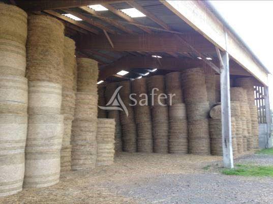 Azienda agricola In vendita Orne