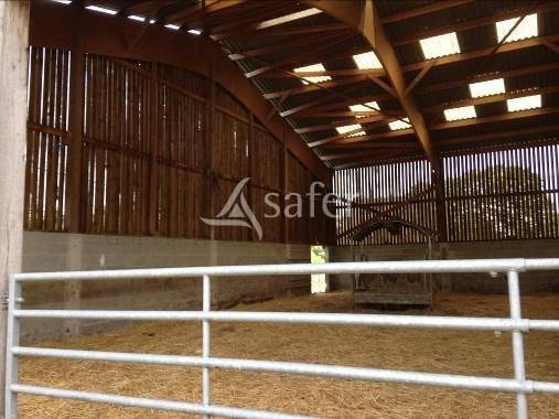 Azienda agricola In vendita Orne