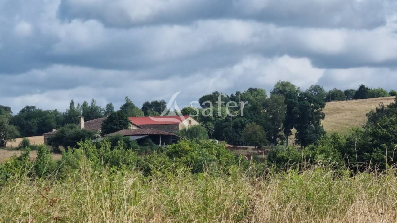 Azienda agricola In vendita Gers