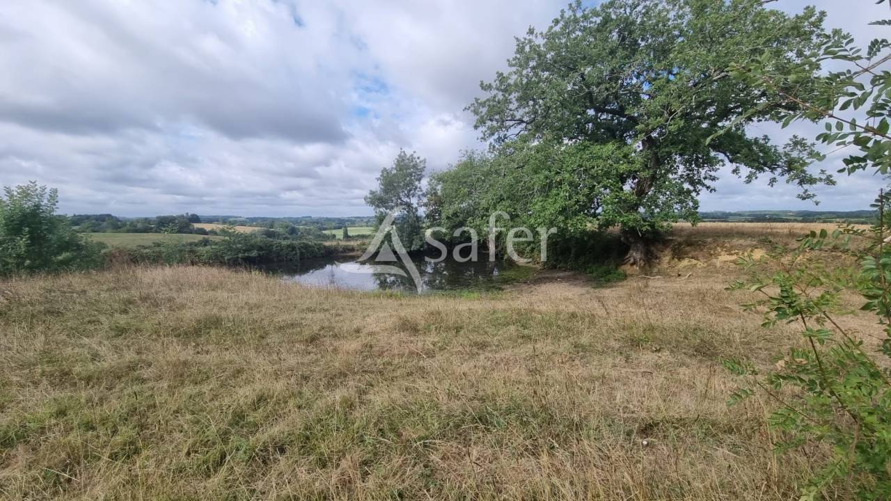 Azienda agricola In vendita Gers