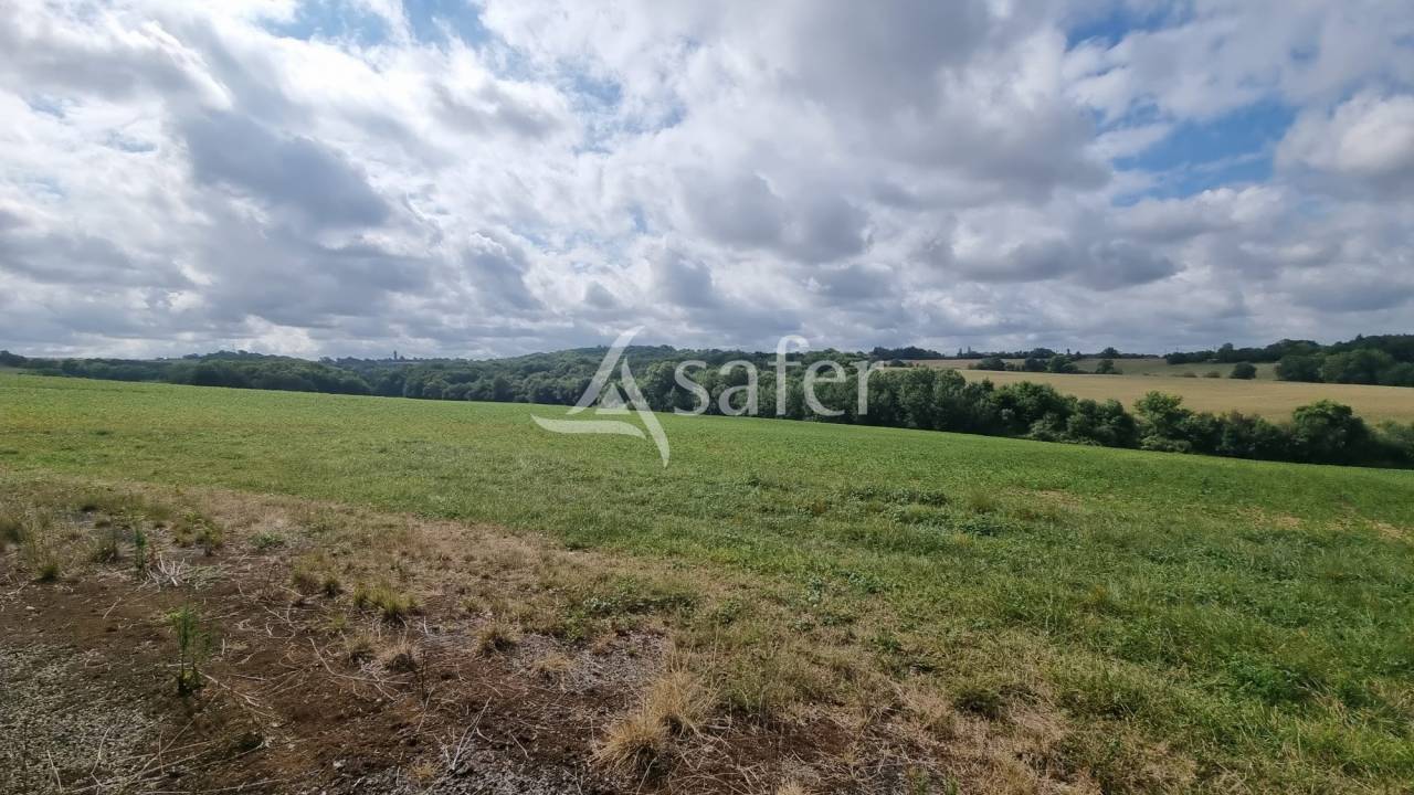 Azienda agricola In vendita Gers